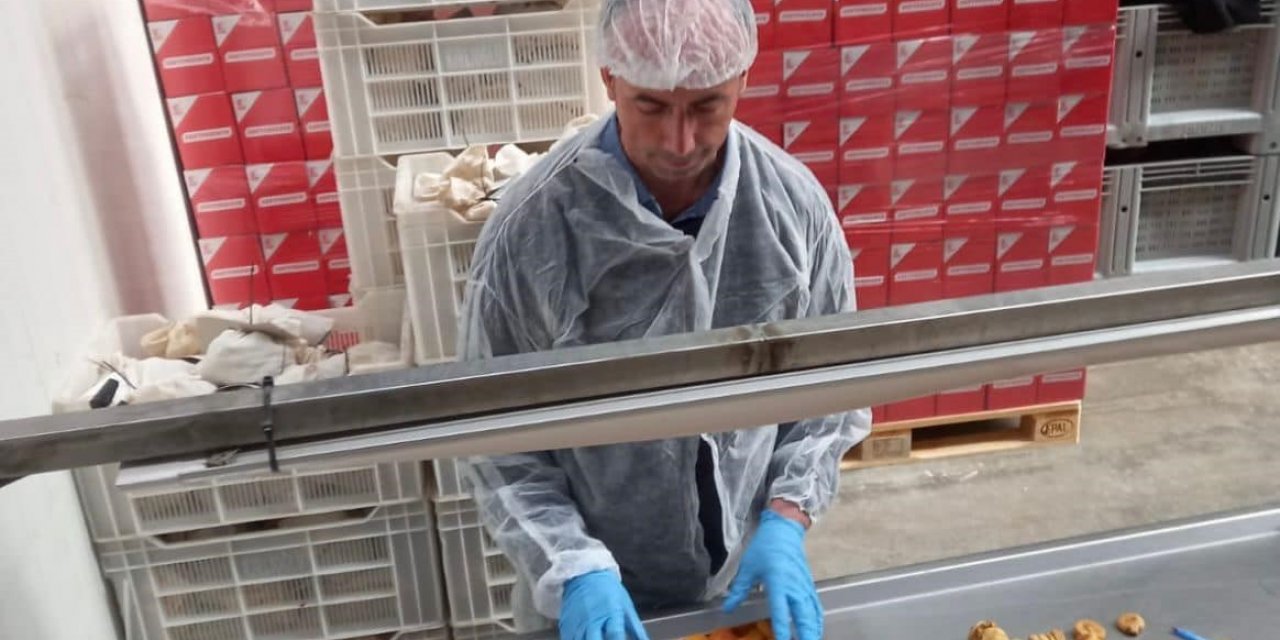 Nazilli’de 19 bin 472 ton tarımsal ürünün ihracat kontrolü yapıldı