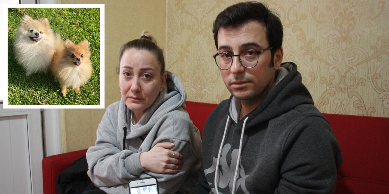 Eğitime gönderdikleri can dostlarının cansız bedenlerini teslim aldılar