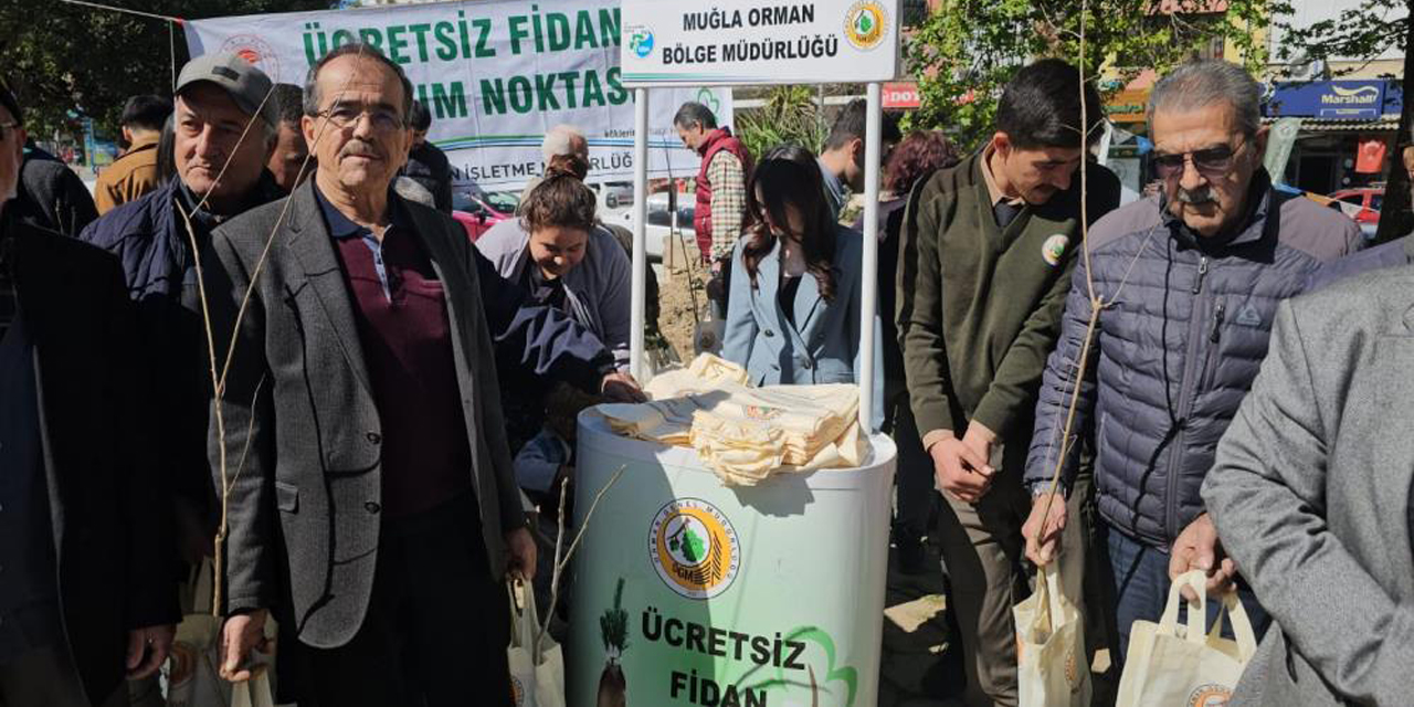 Yenipazar’da 2 bin 500 fidan dağıtıldı