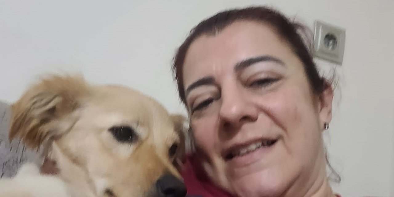 Aydın’daki köpek eğitmeni mağdurlarının sayısı artmaya başladı