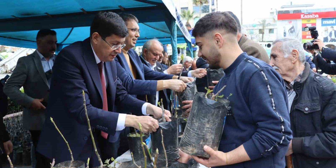 Nazilli’de 20 bin incir fidanı dağıtıldı