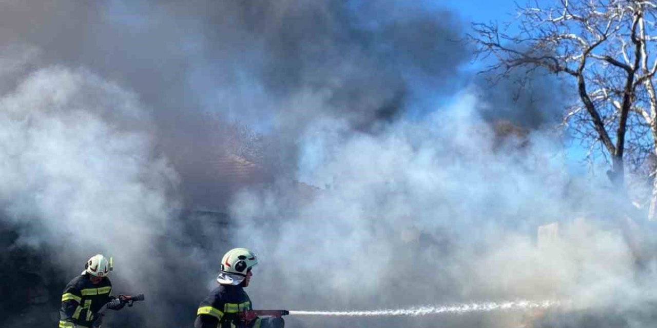 Samanlık alevlere teslim oldu