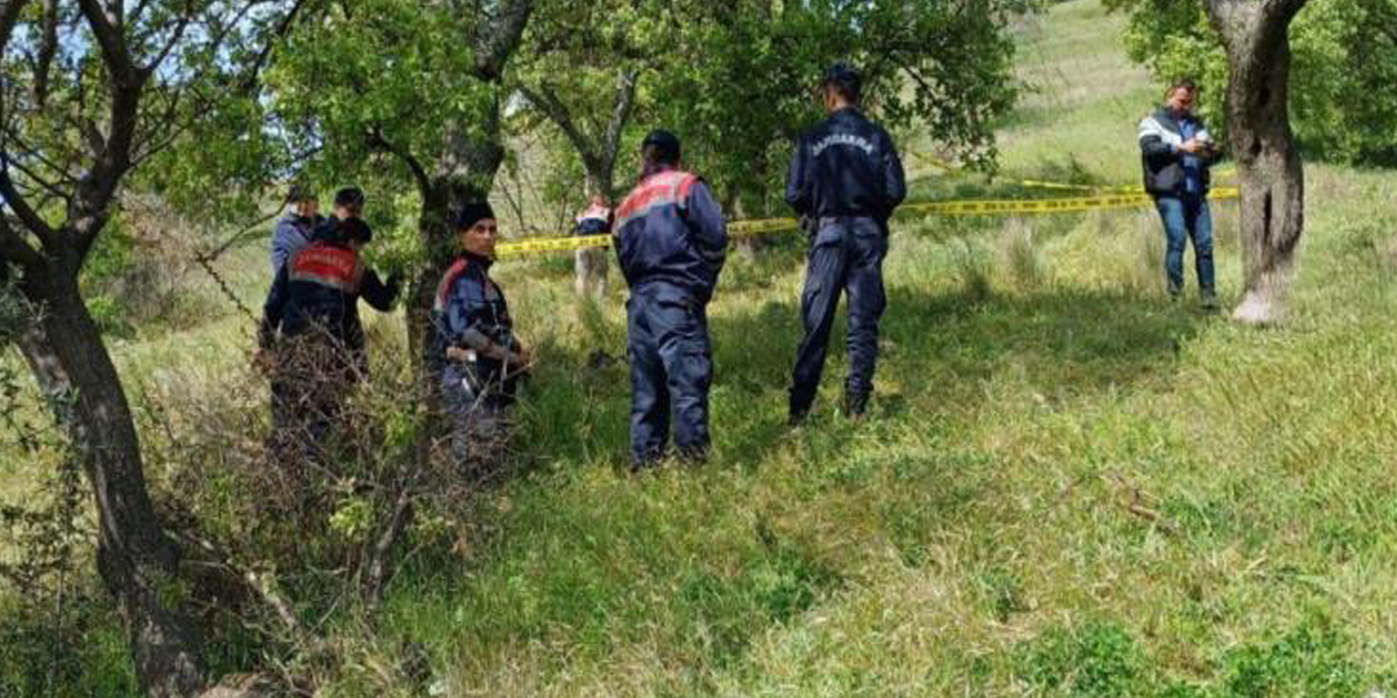 Aydın’da bir kişi ağaçta asılı halde bulundu