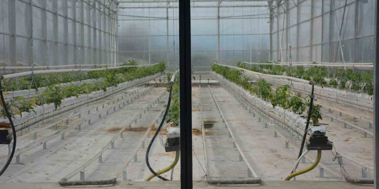 Başkan Atlı; "Tekstil ve tarımda yapay zekayı kullanacağız"