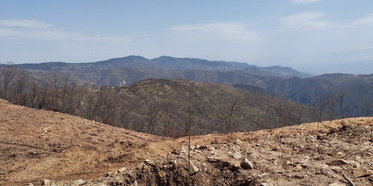Buharkent’te dikimi yapılan incir ve kestane fidanları incelendi