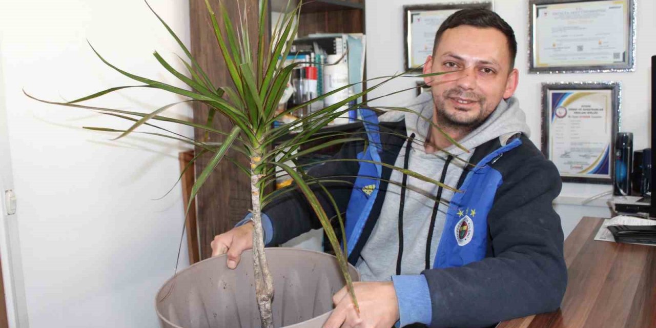 Aydınlı esnafın çiçek hırsızlarıyla başı dertte