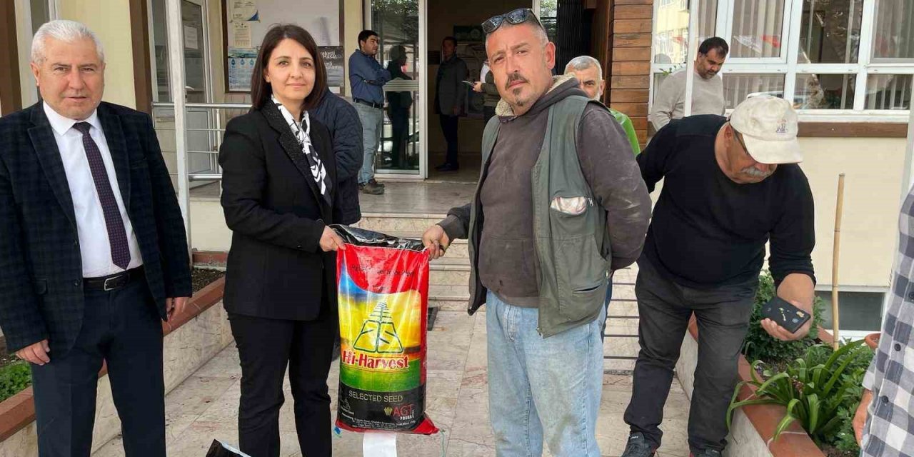 Silajlık mısıra alternatif sorgum otu Aydın’da yaygınlaştırılacak