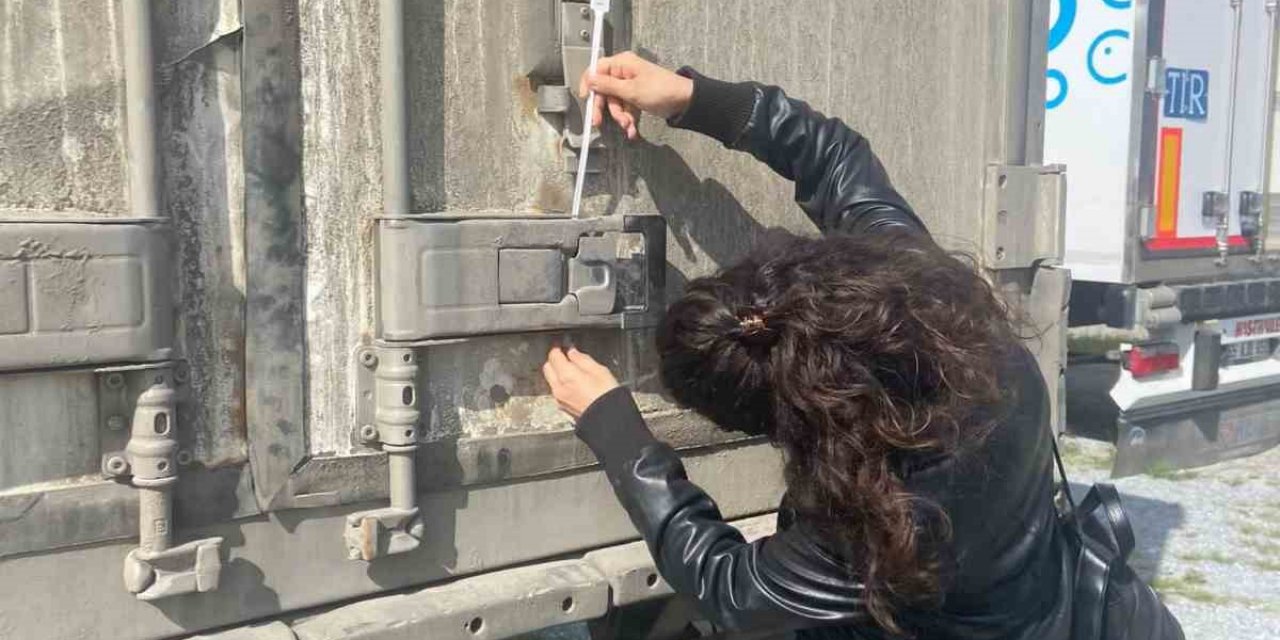 Söke’nin balıkları, İtalya yolcusu