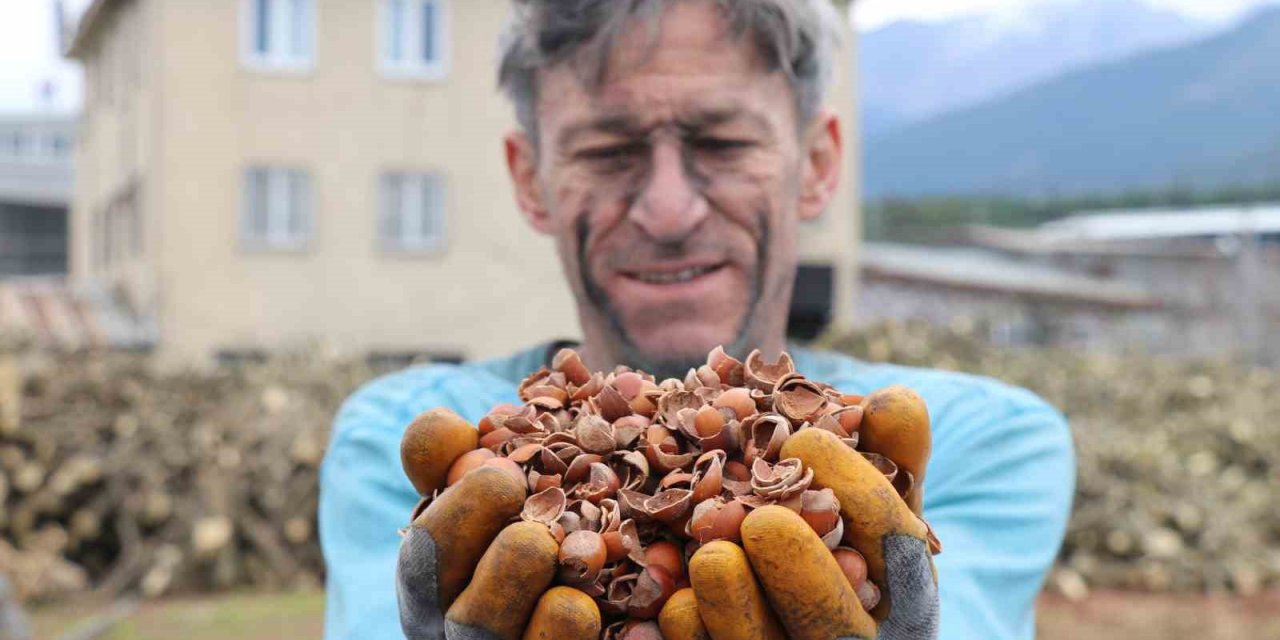 İthal edilen kömürü, onlarca denemenin ardından fındık kabuğundan üretti