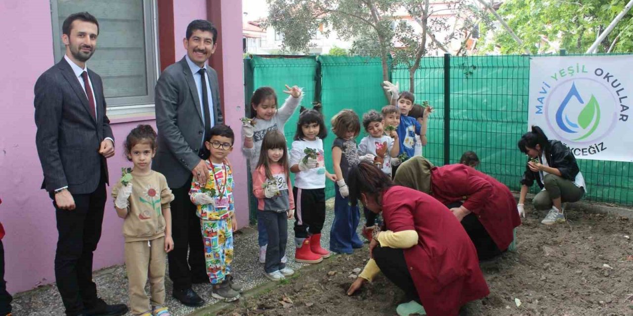 Köyceğiz’de minikler çilek fidelerini toprakla buluşturdu