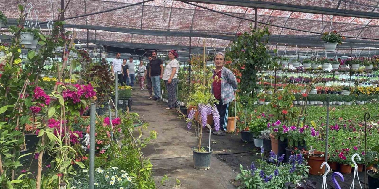 Yaz sezonu çiçek üretimi başladı