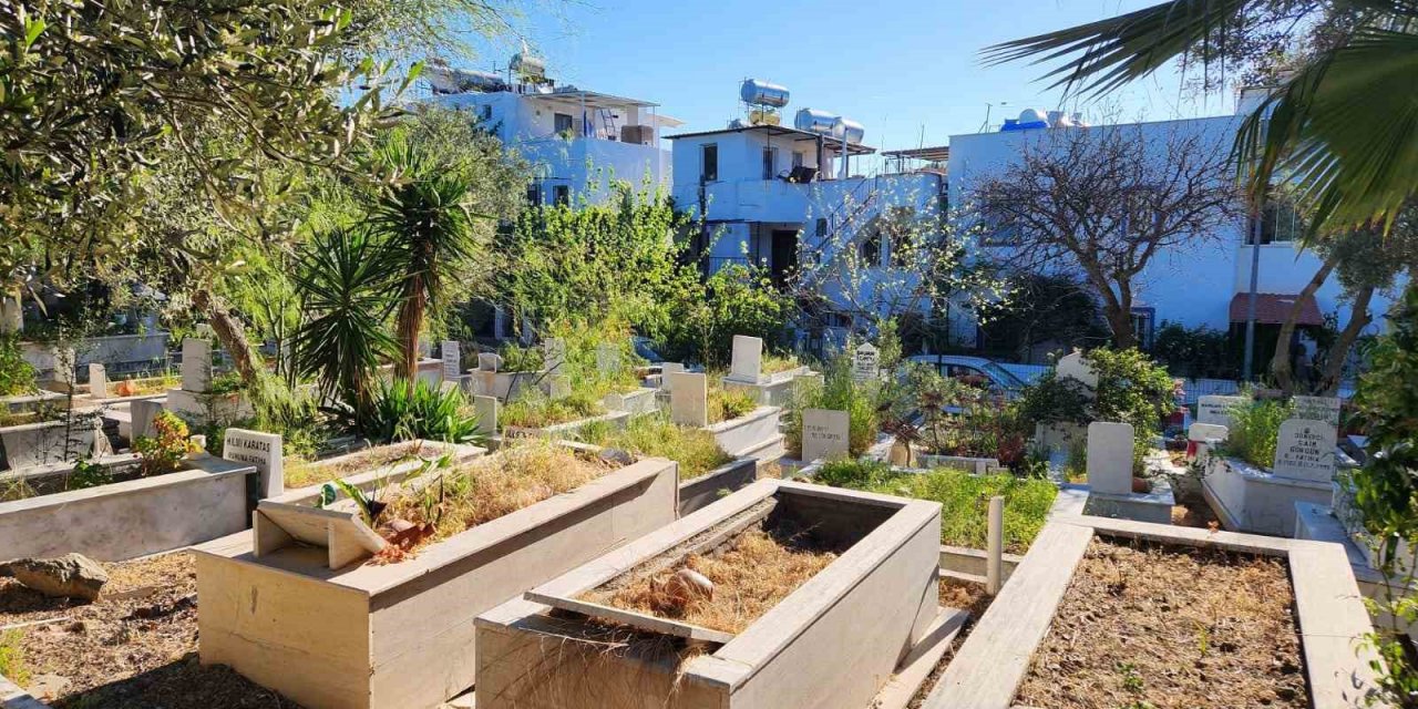 Mezarlıklarda temizlik ve bakım çalışmaları yapıldı