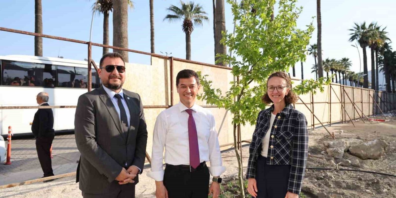 Başkan Ünlü’nün talimatı ile kesilen ağacın yerine çınar ağacı dikildi