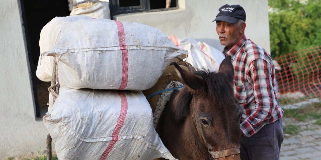 Akaryakıt zamları, at, eşek ve katırları kıymetli kılmaya devam ediyor