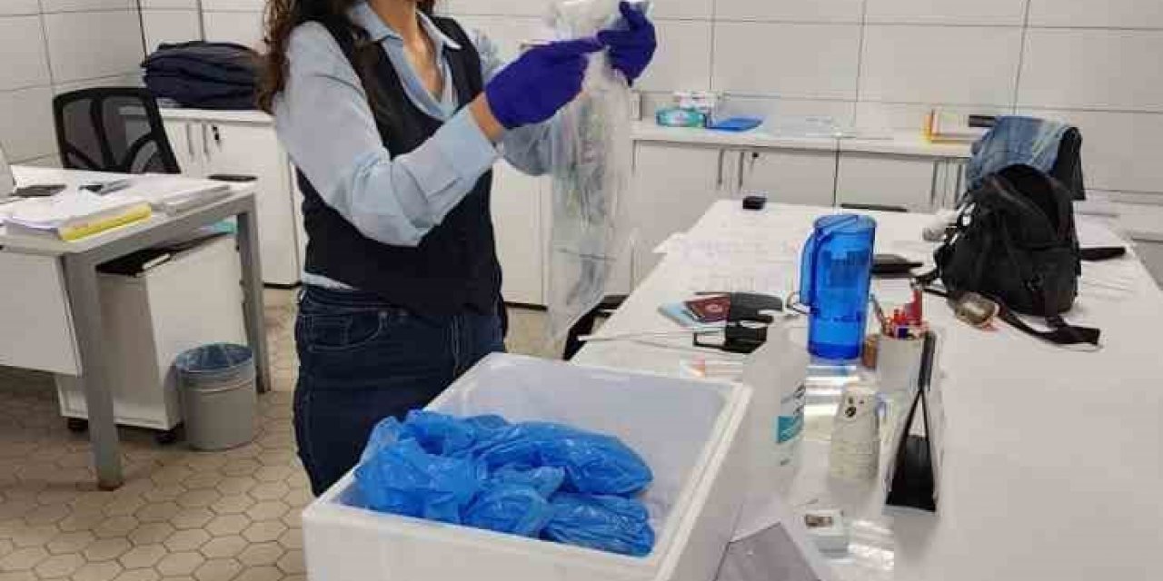 Balık ihracatı bayramda da devam etti