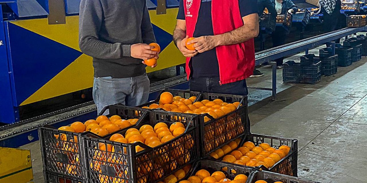 Ortaca’dan dünya pazarlarına ihraç ediliyor