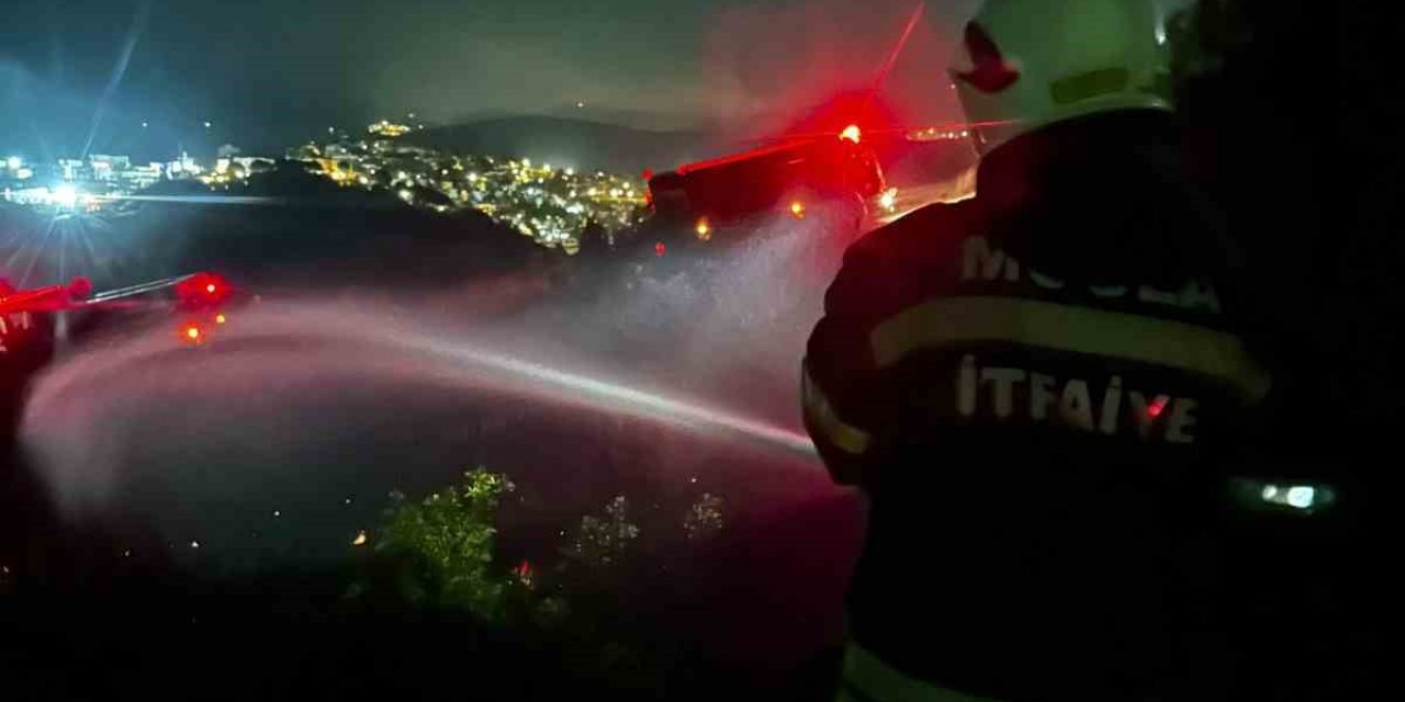 Milas’ta orman yangını