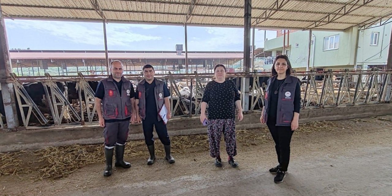 Kuyucak’ta damızlık sığır ithalatı işletmeleri denetlendi