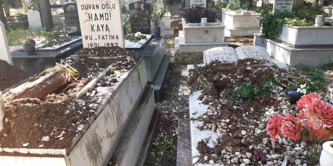 Domuzlar şimdi de mezarlara dadandı
