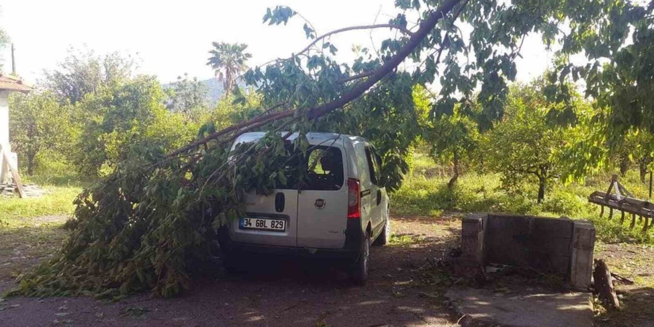 45 dakika yağdı, ağaçlar devrildi, çatı uçtu