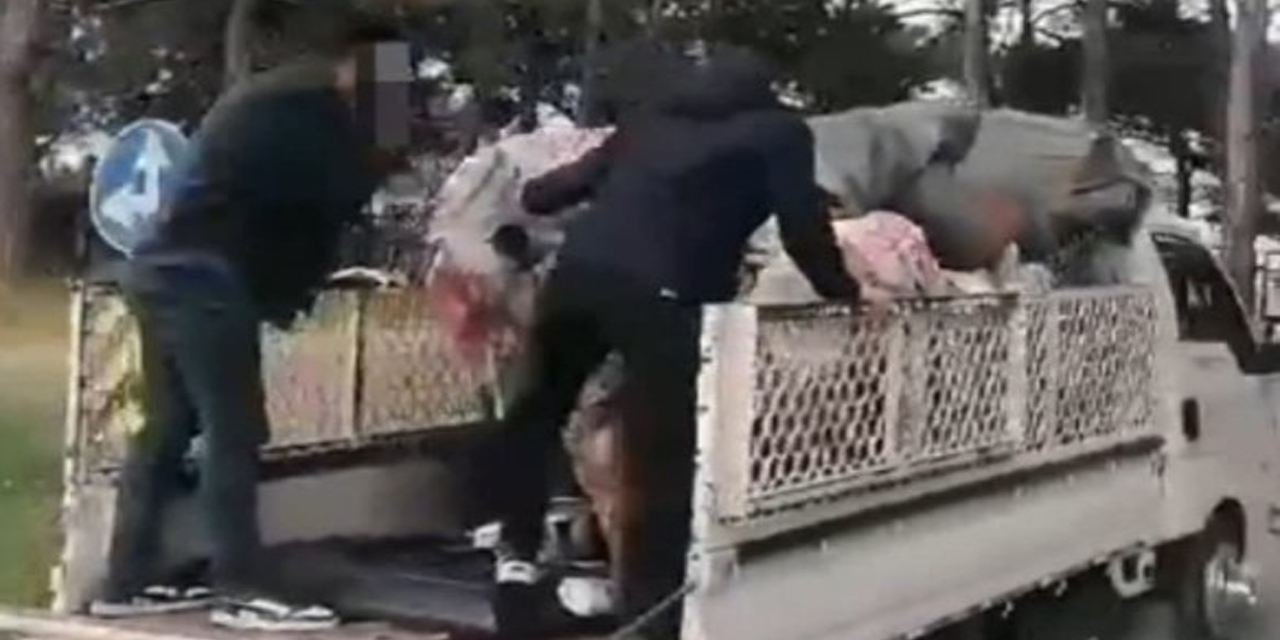 Hurdacı kılığına giren polis, uyuşturucu tacirini şoka uğrattı