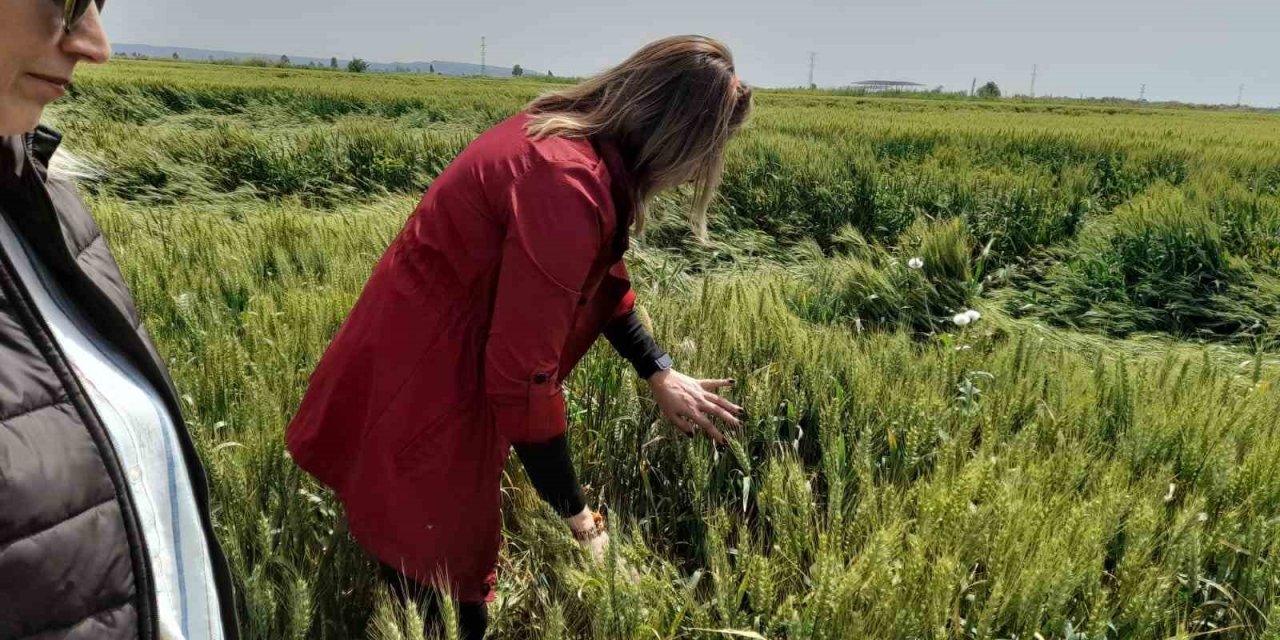 Söke’de tarım arazilerinin röntgeni çekildi