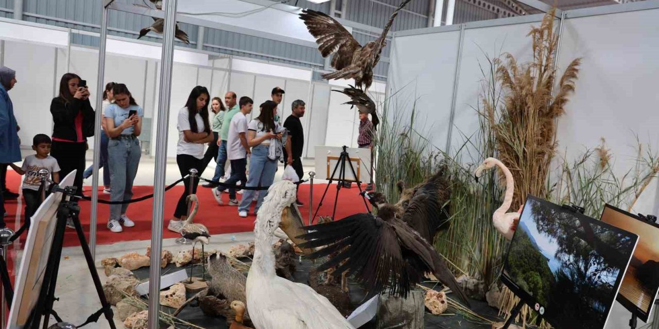 Gerçeği görülmez olunca, nesli tükenmekte olan hayvanlar tahnit sergisi ile tanıtıldı