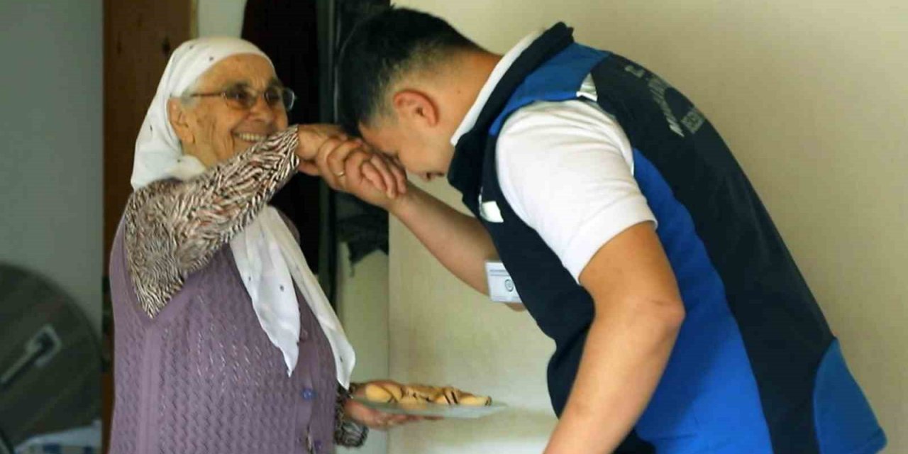 Büyükşehir kırsaldaki çınarların yanında