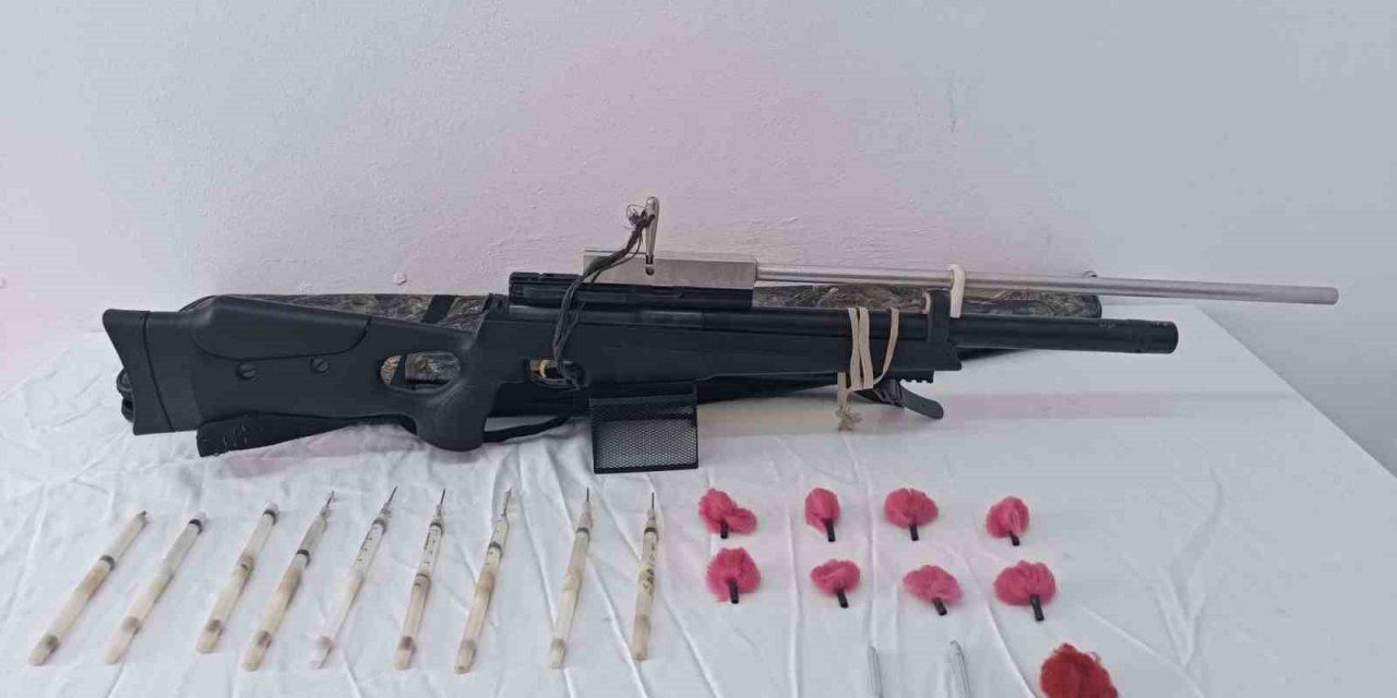 Aydın jandarması izinsiz ava geçit vermedi