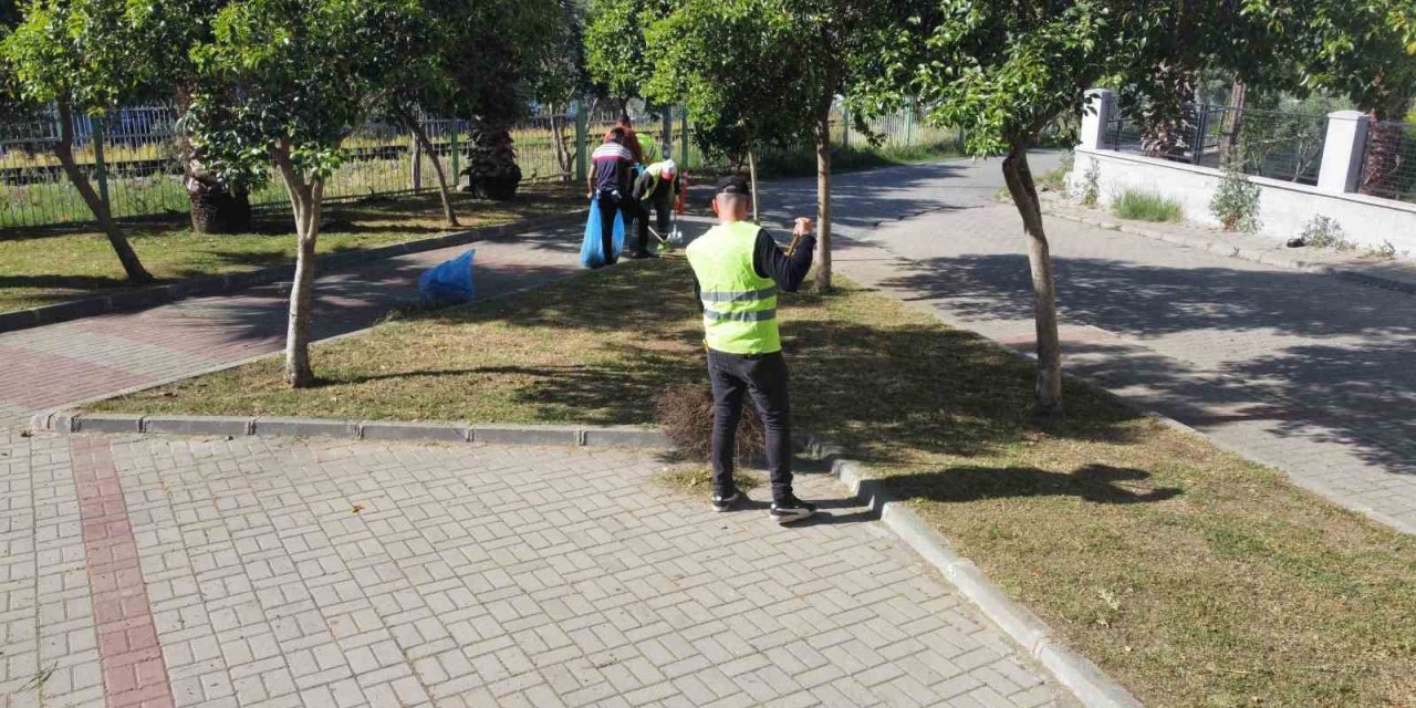 Nazilli’de yabani otlar temizleniyor