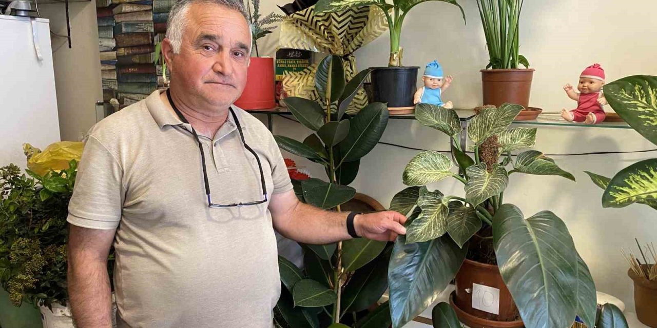 Çiçekçilerden yazlık bakım uyarısı