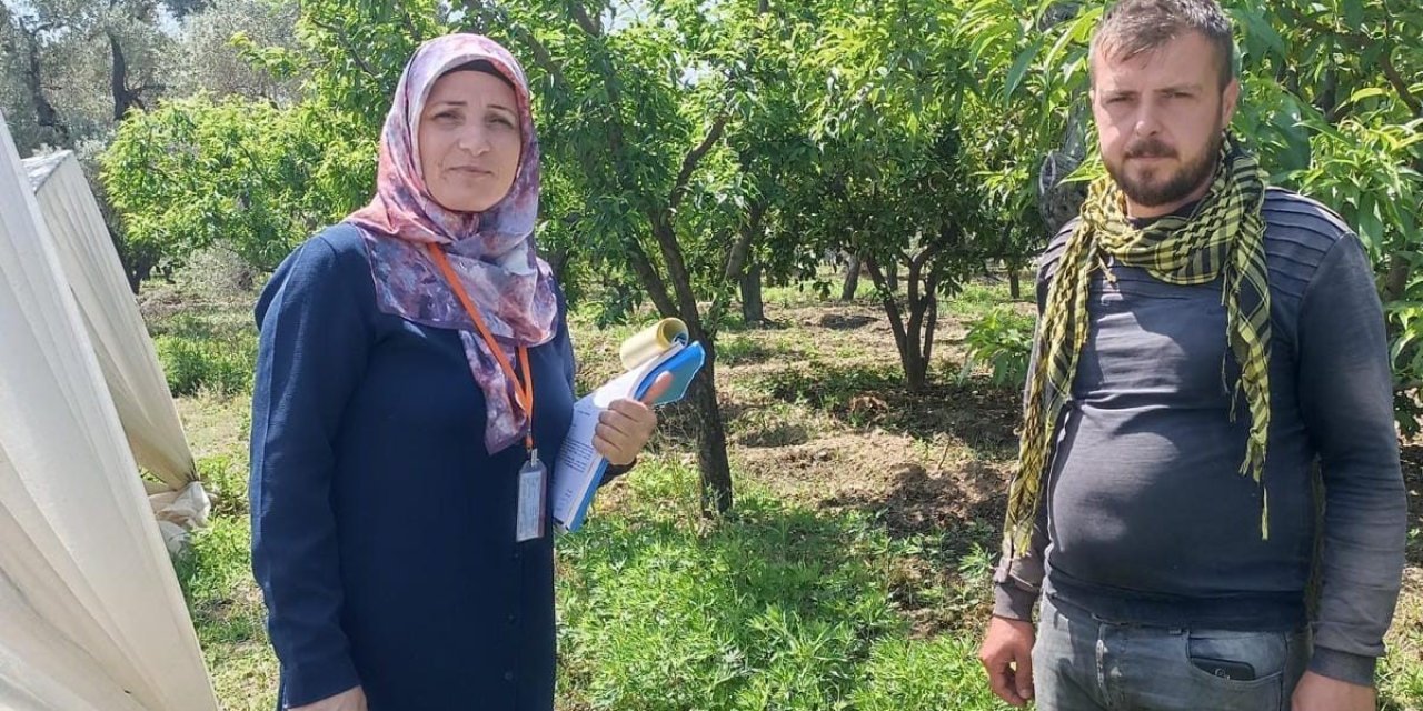 Efeler İlçe ve Tarım Orman Müdürlüğü anket çalışmalarını tamamladı