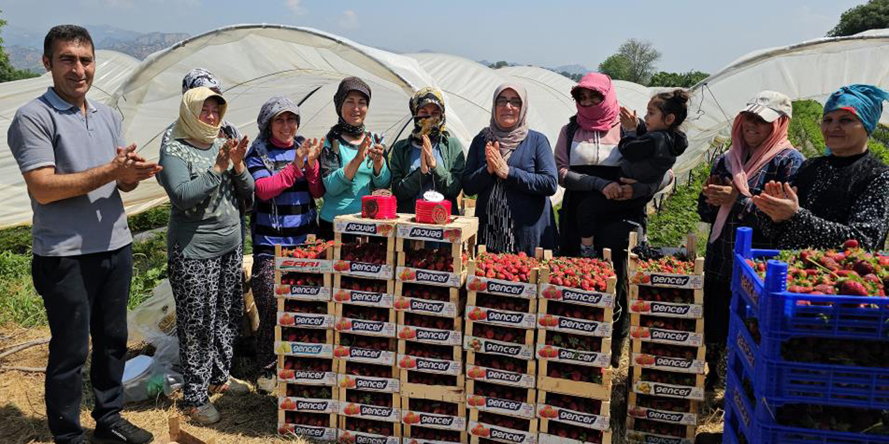 İşçi bayramını tarlada kutladılar