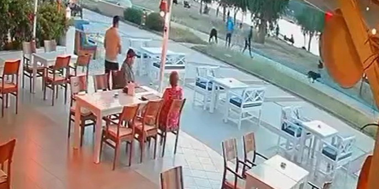 Sokak köpeği çocuğa saldırdı