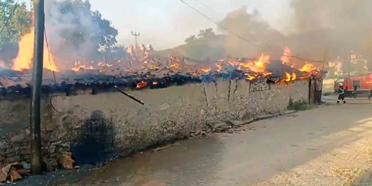 Ula’da korkutan yangın