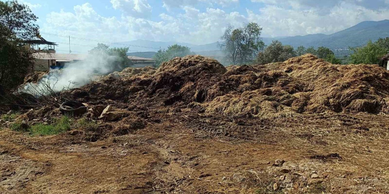 Bozdoğan’da 70 ton saman kül oldu