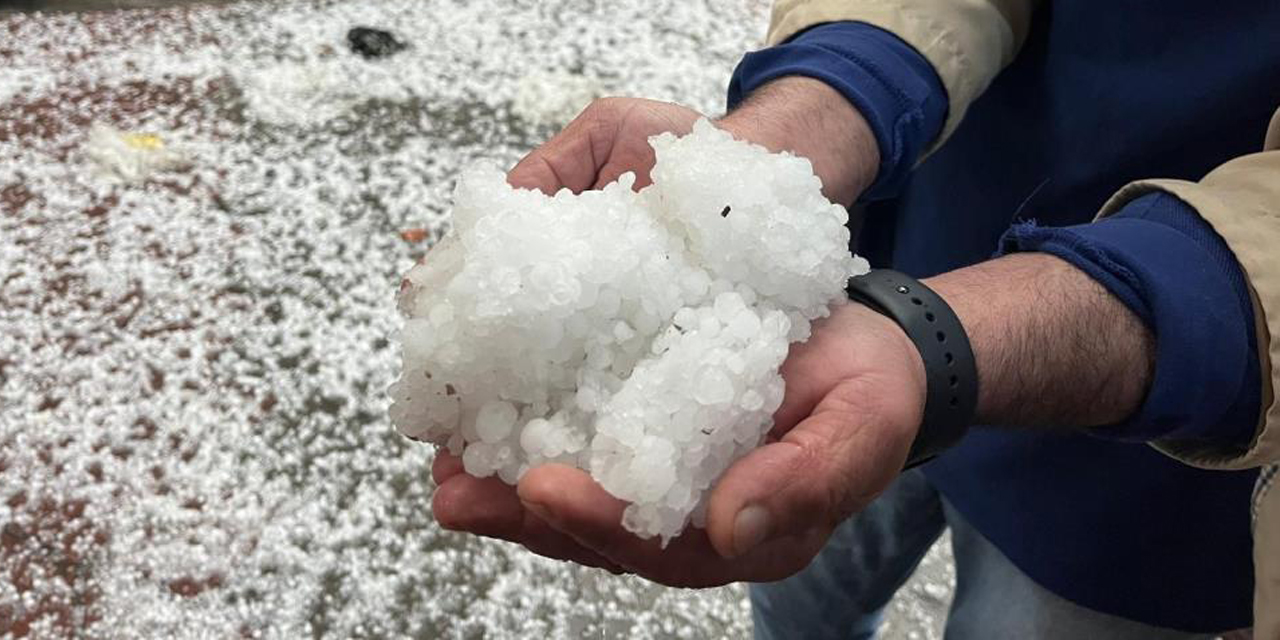 Mayıs ayında yağan dolu üreticiyi vurdu