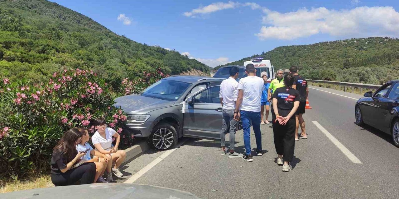 Milas’ta otomobilin çarptığı köpek telef oldu, 2 kişi yaralandı