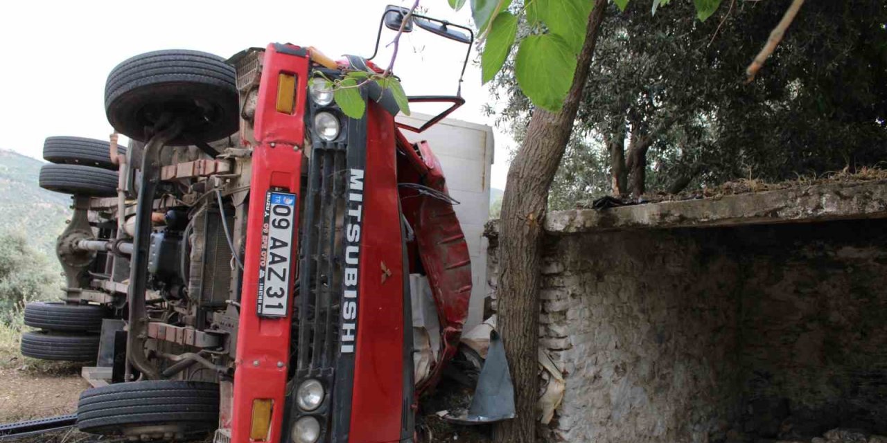 Ölümden zeytin ağacı kurtardı