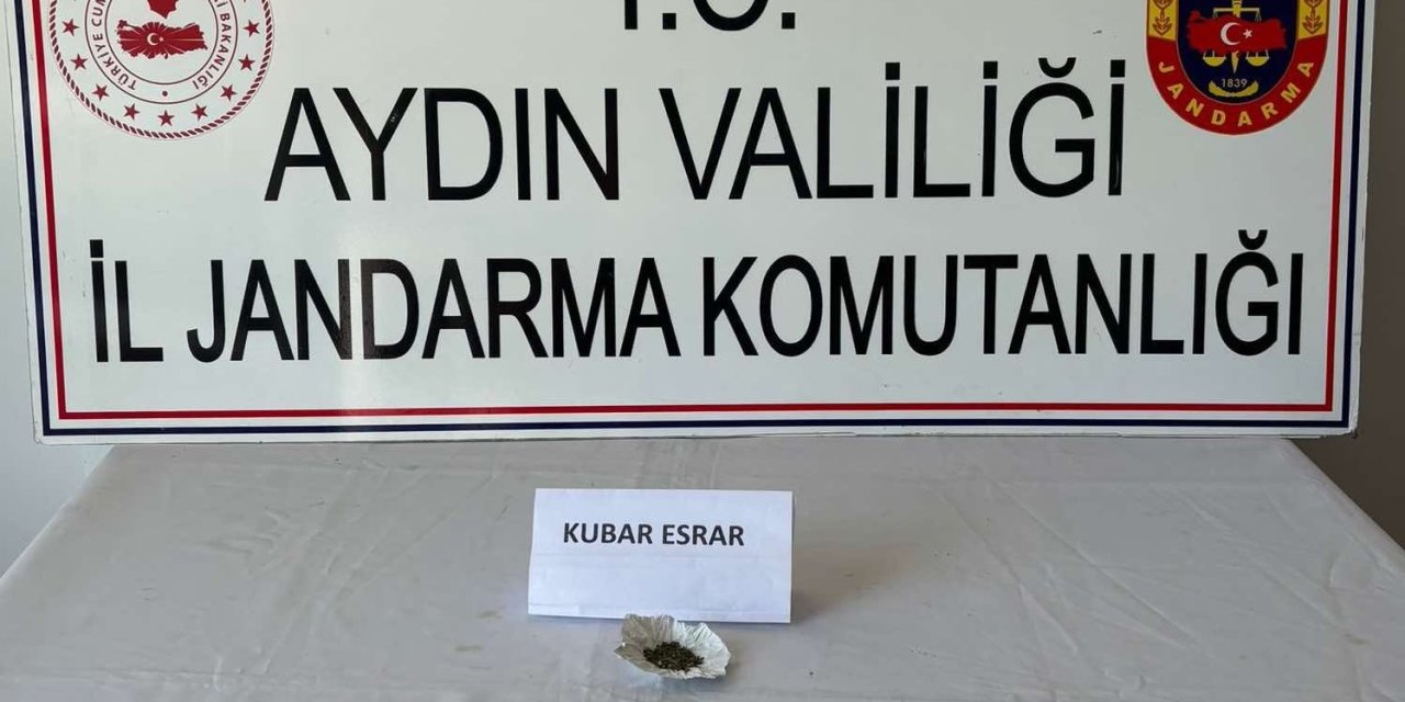 Jandarma uyuşturucuya geçit vermedi: 9 gözaltı