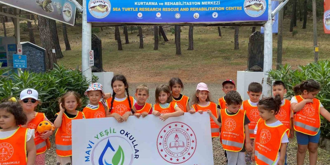 Köyceğizli miniklere deniz kaplumbağaları tanıtıldı
