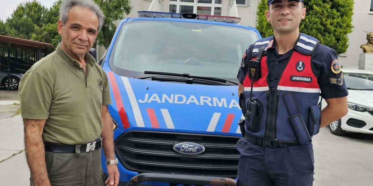 Yaralı porsuğu jandarma ekipleri kurtardı
