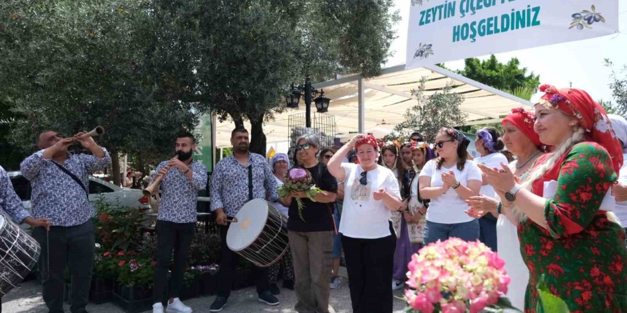 Zeytin Çiçeği Festivali, renkli görüntülerle başladı