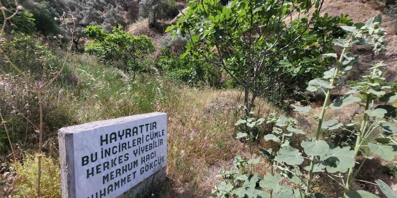 Paylaşmanın önemini gösteren yazı görenlerin içini ısıttı