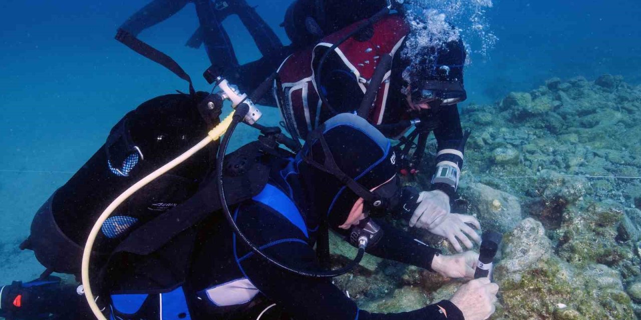 İklim değişikliği, denizlerdeki biyoçeşitliliği karadan daha çok etkiledi