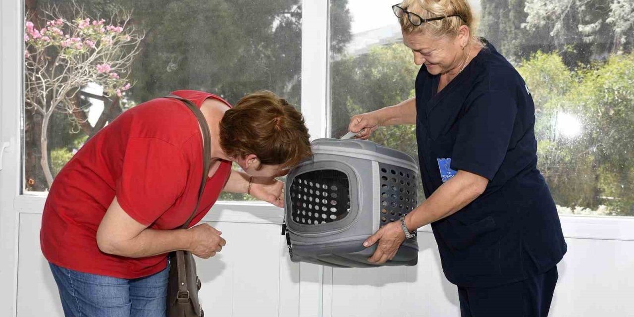 Kedi Kısırlaştırma Merkezi’ne hayvanseverlerin ilgisi her geçen gün artıyor