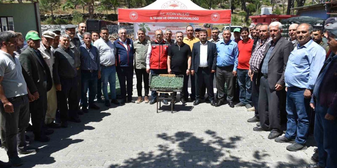 Bozdoğan domates üretim üssü olacak