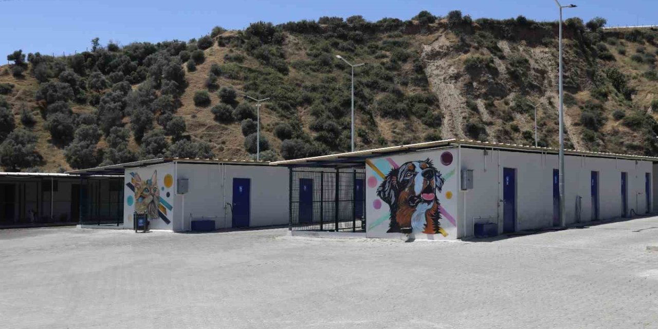 Aydın’ın modern Evcil Hayvan Bakım ve Rehabilitasyon Merkezi tüm ihtiyaçlara yanıt veriyor