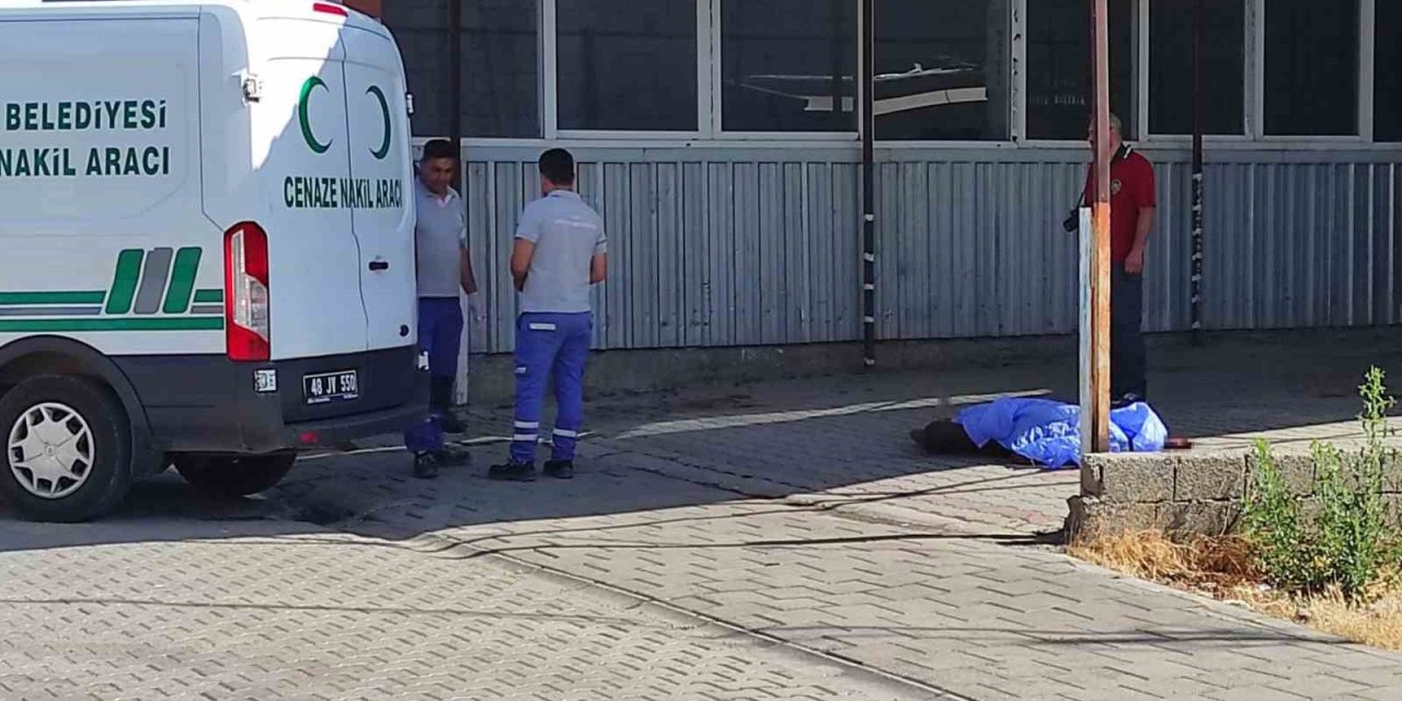 Sabah işe gelen esnaf buldu