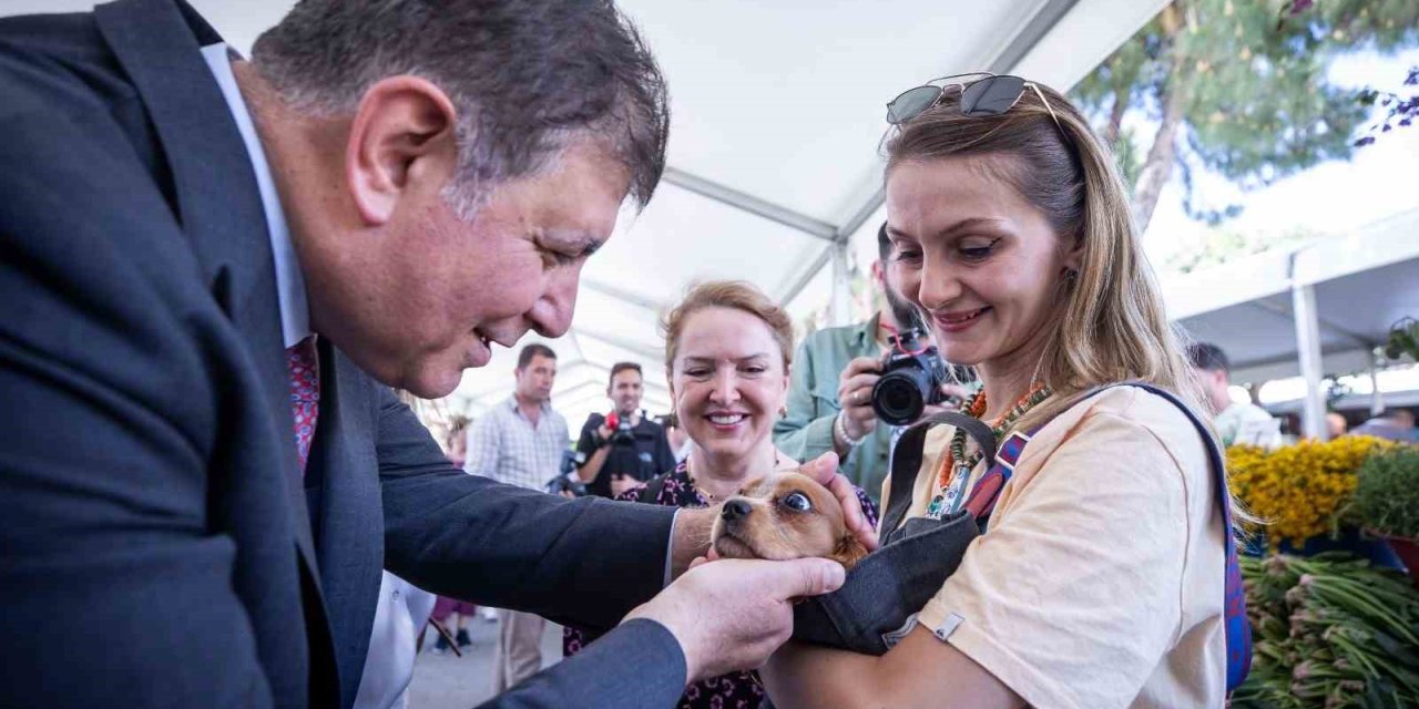 İzmir Büyükşehir, sokak hayvanları için harekete geçti